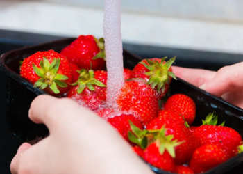 ¿Cuál es el mejor método para lavar las frutillas? - Foto: Dreamstime.