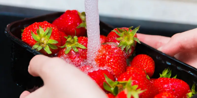¿Cuál es el mejor método para lavar las frutillas? - Foto: Dreamstime.