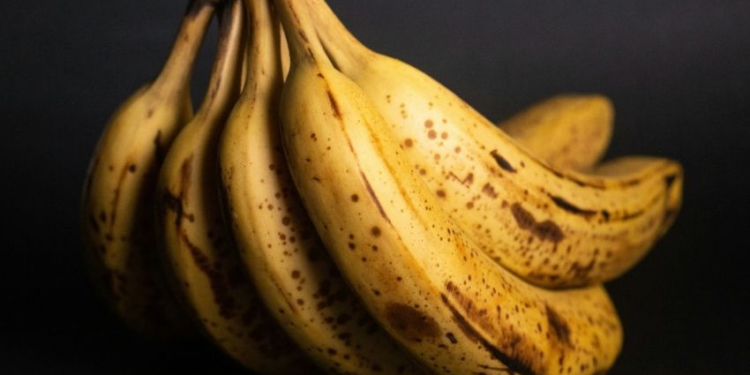 Cómo conservar el plátano por más tiempo (sin refrigerador) - Foto: Gastrolab