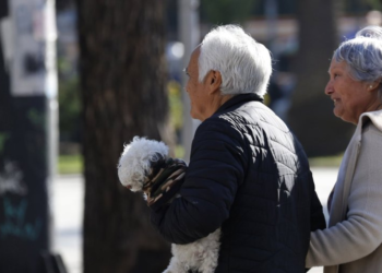 Suspensión de la PGU toma por sorpresa a chilenos con recorte de ingresos - Foto: Puranoticia