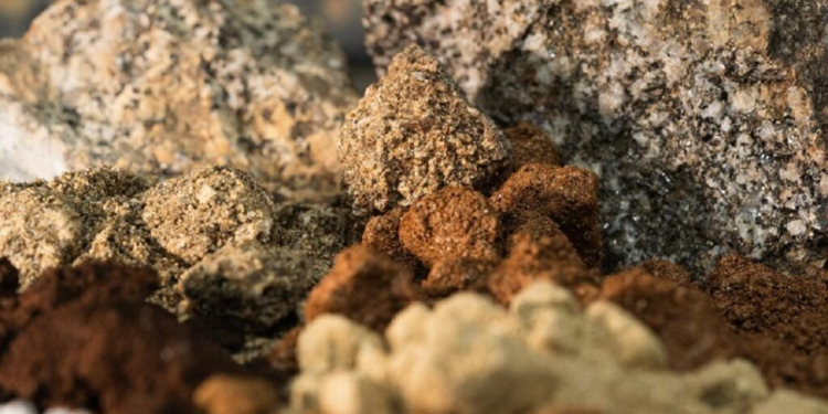 En medio de la guerra en Oriente Medio, Chile avanza hacia un acuerdo con Estados Unidos - Foto: Fundacion Terram