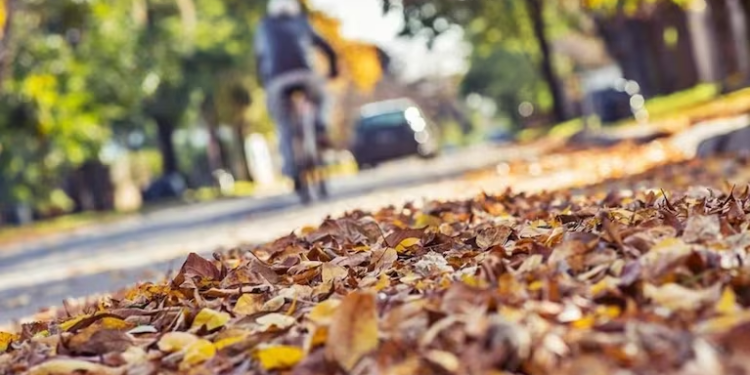 Con los ojos en el reloj: cambio ocurre este viernes en Chile - Foto: Docetv