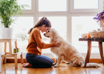 Cuáles son los beneficios de tener una mascota para la salud mental, según la Psicología - Foto: Elanco