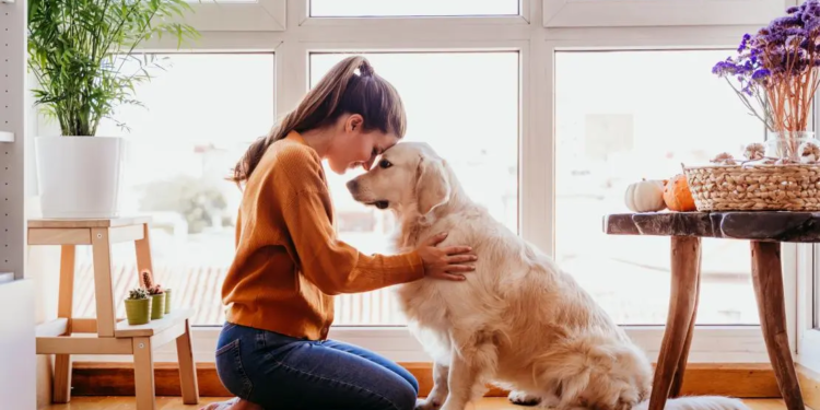 Cuáles son los beneficios de tener una mascota para la salud mental, según la Psicología - Foto: Elanco