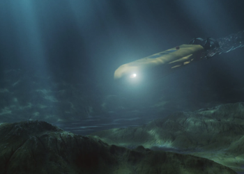 Científicos realizan descubrimiento inédito en el fondo del océano profundo - Foto: Getty Images.