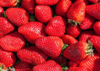 Es por esta razón que no deberías guardar tus frutillas fuera del refrigerador - Foto: La Tercera