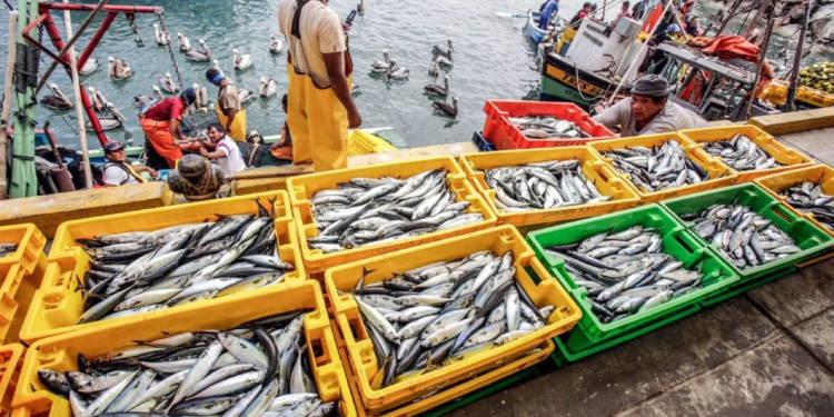 Gobierno da marcha atrás en una decisión tomada y el anuncio oficial será hecho por el presidente - Foto: Rumboeconomico