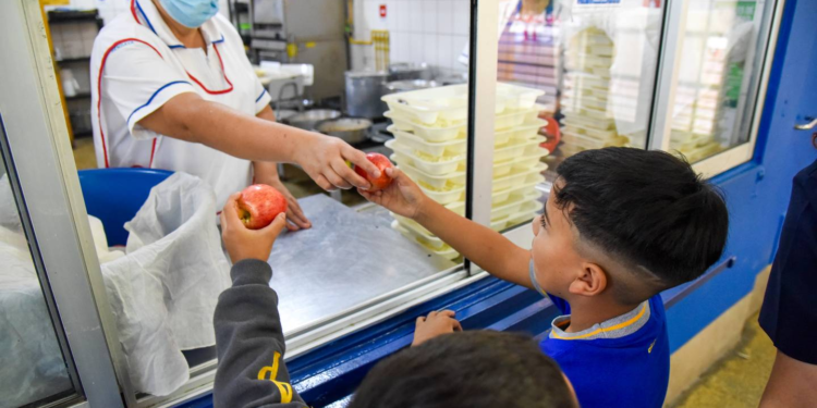 Casi el 60% de los niños de esta región de Chile sufren por sobrealimentación - Foto: Gobierno de Chile