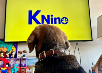 Este canal de televisión es perfecto para quienes tienen perros en casa en Chile - Foto: En Palco