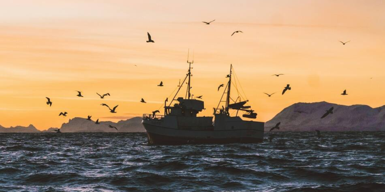 Satélites de Chile descubren infiltrado chino en el país - Foto: Canal 26