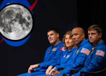Ciencia confirma que los astronautas de la misión Artemis II regresaron con corazones más pequeños y cuerpos alterados - Foto: La FM
