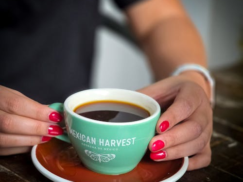 ¿Cuántas tazas de café al día son necesarias para reducir los niveles de estrés? - Foto: Pexels