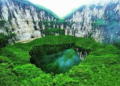 En un sumidero de 626 metros de profundidad en China crece un bosque con sus propias reglas - Foto: Envato