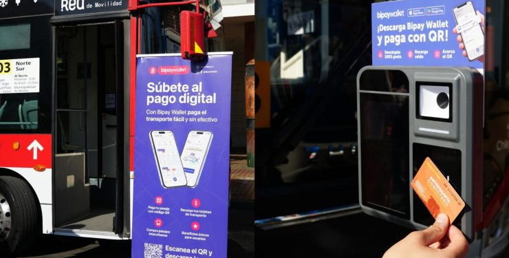 Gobierno confirma nuevo pago a 8 millones de chilenos - Foto: cnn chile