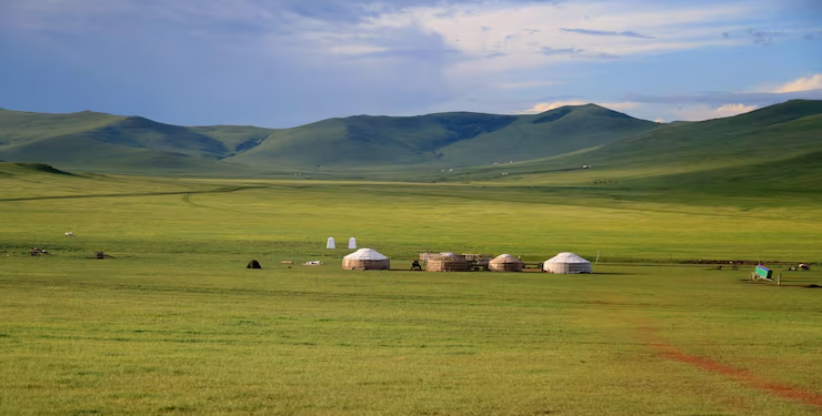 ¿Groenlandia o Mongolia? Este es el país más vacío del mundo - Foto: Freepik
