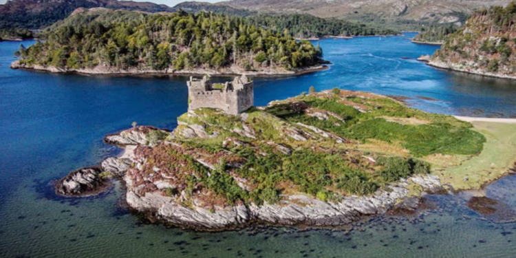 Isla de más de 100 hectáreas, habitada por ovejas y cabras, está a la venta por poco más de $1.000 millones - Foto: La Nacion