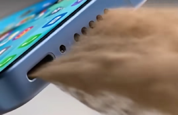 Haz este simple truco y limpia los altavoces de tu celular para recuperar el sonido original - Foto: tiktok