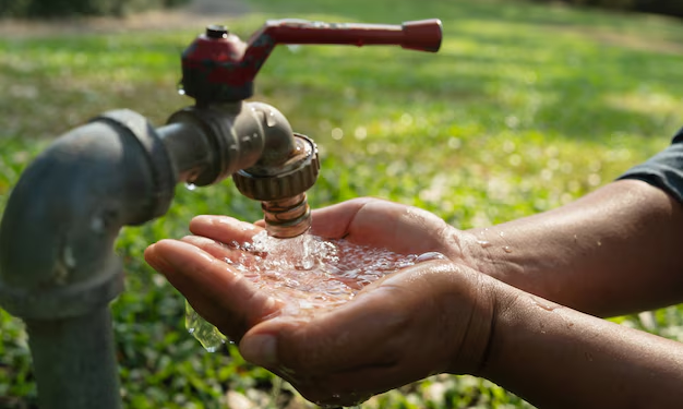 Chile es el único país de Sudamérica que ofrece agua potable en casa para sus habitantes - Foto: Magnific