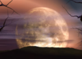 Mayo trae un raro espectáculo celestial: 2 lunas llenas en un mes - Foto: Freepik