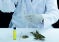 Proyecto de ley podría exigir test de drogas para personas desempleadas en Chile - foto: Freepik