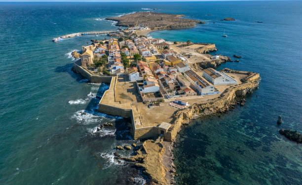 Mientras Chile tiene 20,2 millones de habitantes, esta isla de España tiene más gatos que personas - Foto: iStock
