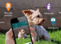 Esta es la aplicación ideal que deberías descargar si tienes perro en casa - Foto: Chicureo Hoy