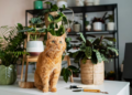 Por este motivo los gatos tiran todo de la mesa - Foto: Freepik