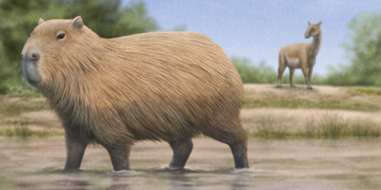 Investigadores descubren que un animal histórico eligió a Chile como el único país de América Latina para vivir - Foto: LaderaSur