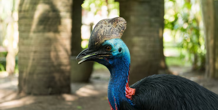 Una de las aves más peligrosas del planeta se vuelve fluorescente bajo luz ultravioleta - Foto: Freepik