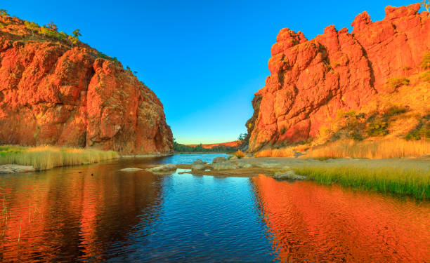El río más antiguo del mundo está en Australia y tiene casi 600 kilómetros de extensión - Foto: Freepik