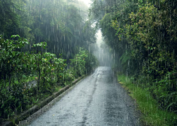Alerta en Chile para esta semana por fuertes lluvias durante varios días - Foto: Freepik
